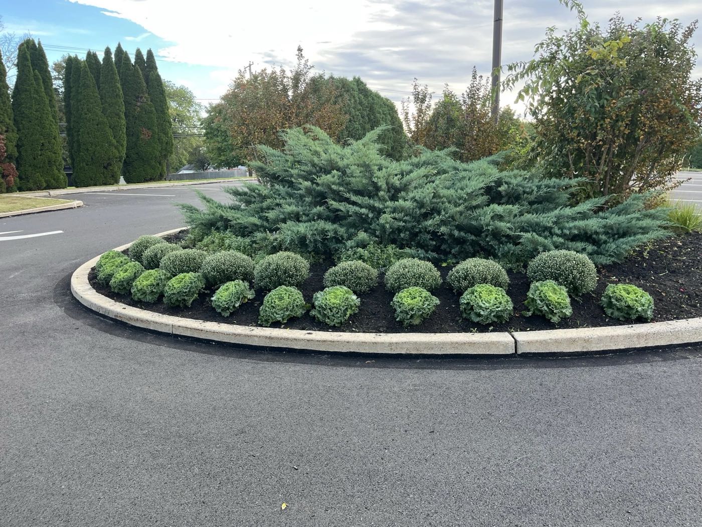 Layered planting island with a freshly cut lawn