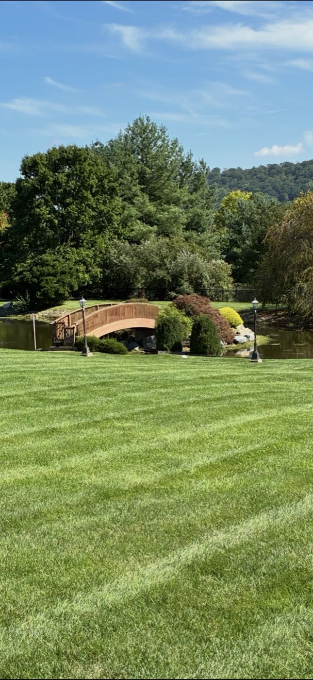 Maintained lawn and planting around a pond with a wooden bridge